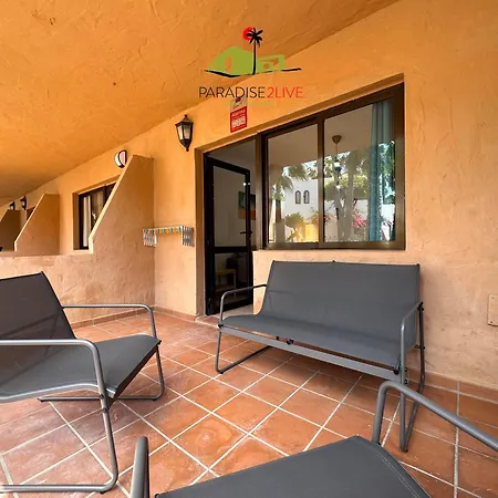 El Caballito De Mar *