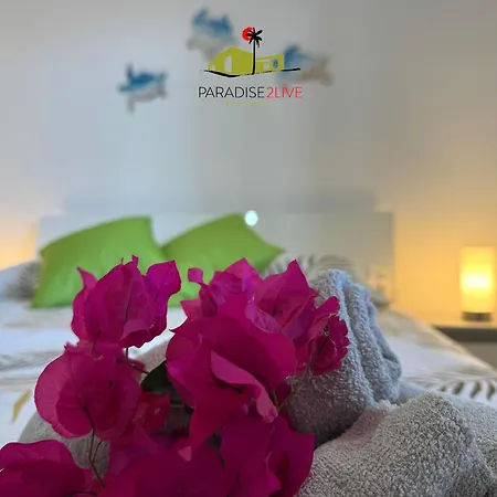 El Caballito De Mar *