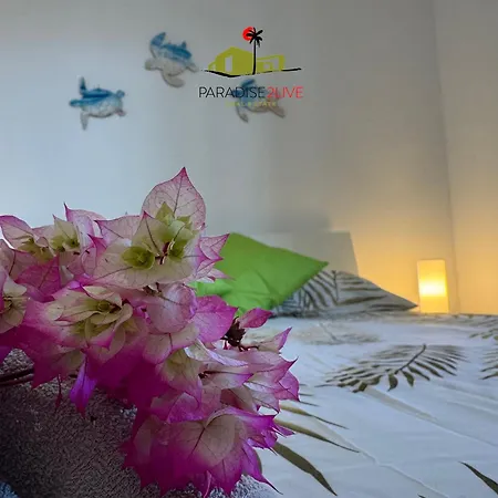 El Caballito De Mar * Corralejo