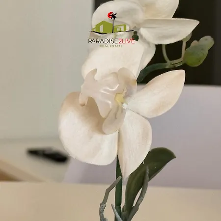 Apartamento El Caballito De Mar *