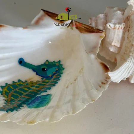 El Caballito De Mar Appartement *