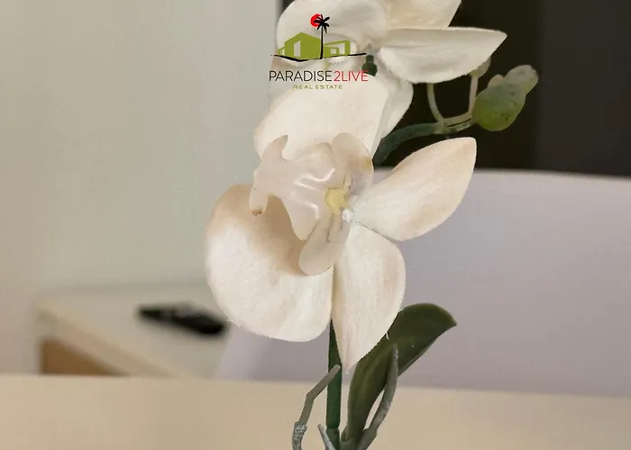 Apartamento El Caballito De Mar *