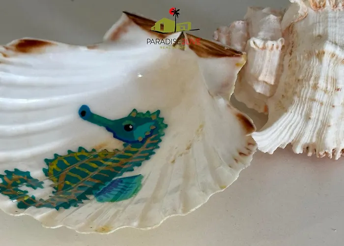 El Caballito De Mar 公寓 *