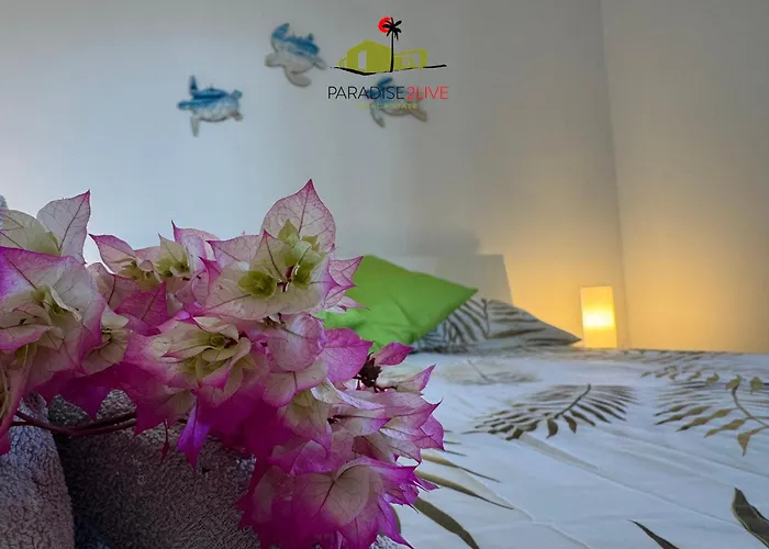 El Caballito De Mar * Corralejo