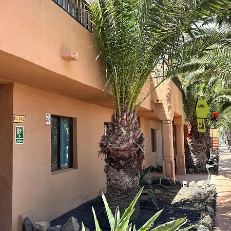 El Caballito De Mar Corralejo