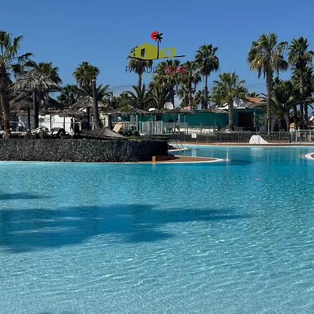 El Caballito De Mar *