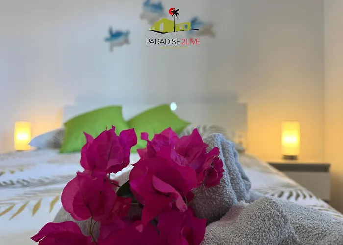 El Caballito De Mar *